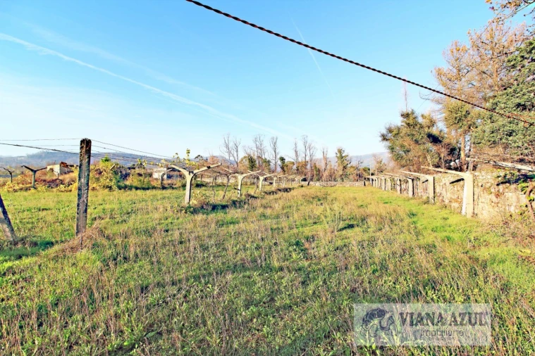 Quinta T3 para Venda em Ceivães e Badim Foto 9
