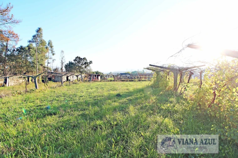 Quinta T3 para Venda em Ceivães e Badim Foto 17