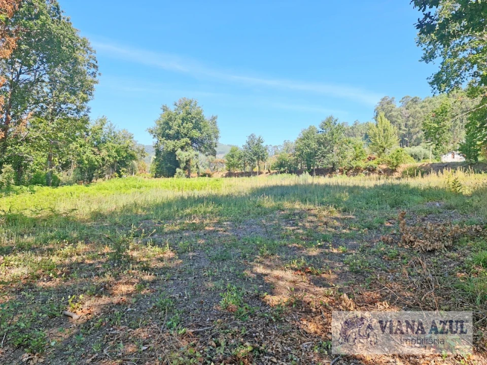 Quinta T13 para Venda em Távora (Santa Maria e São Vicente) Foto 3