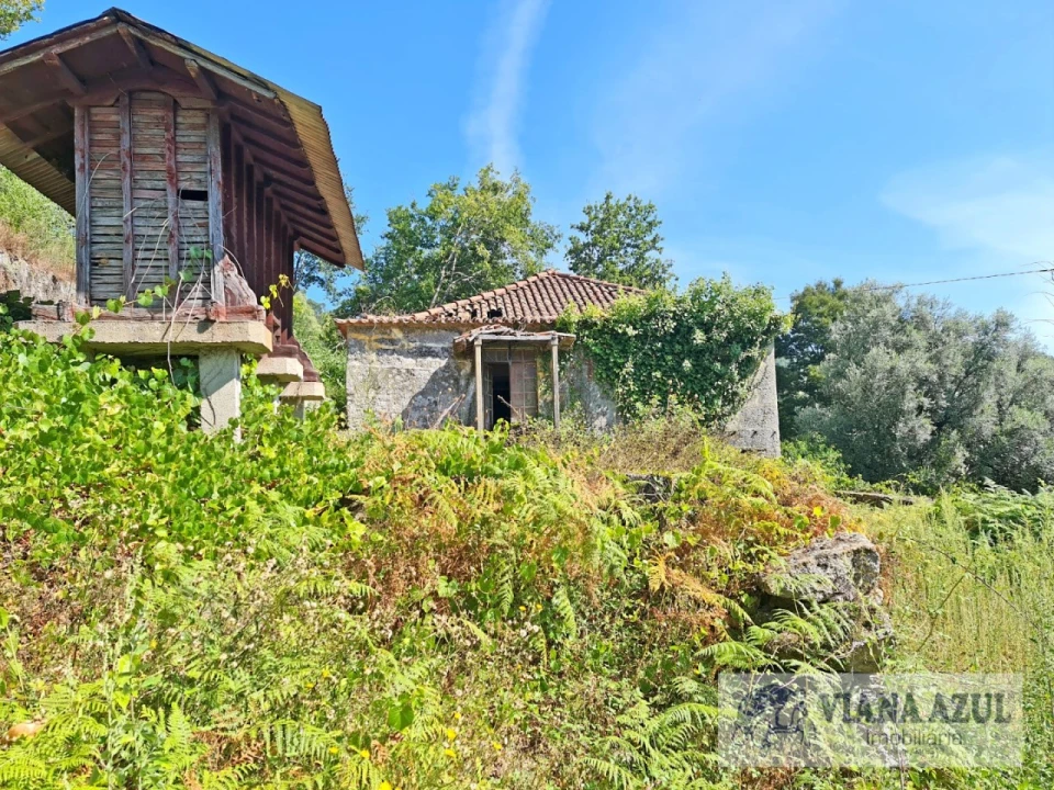 Quinta T13 para Venda em Távora (Santa Maria e São Vicente) Foto 8