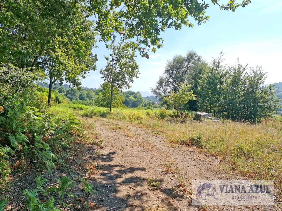 Quinta T13 para Venda em Távora (Santa Maria e São Vicente) Foto 16