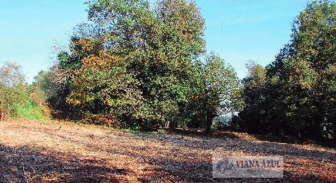 Quinta T13 para Venda em Távora (Santa Maria e São Vicente) Foto 17