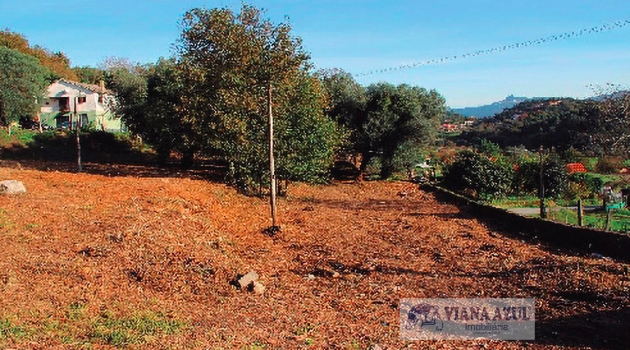 Quinta T13 para Venda em Távora (Santa Maria e São Vicente) Foto 20
