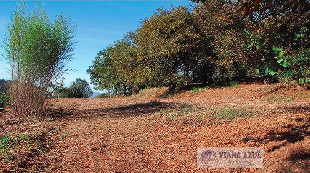 Quinta T13 para Venda em Távora (Santa Maria e São Vicente) Foto 21