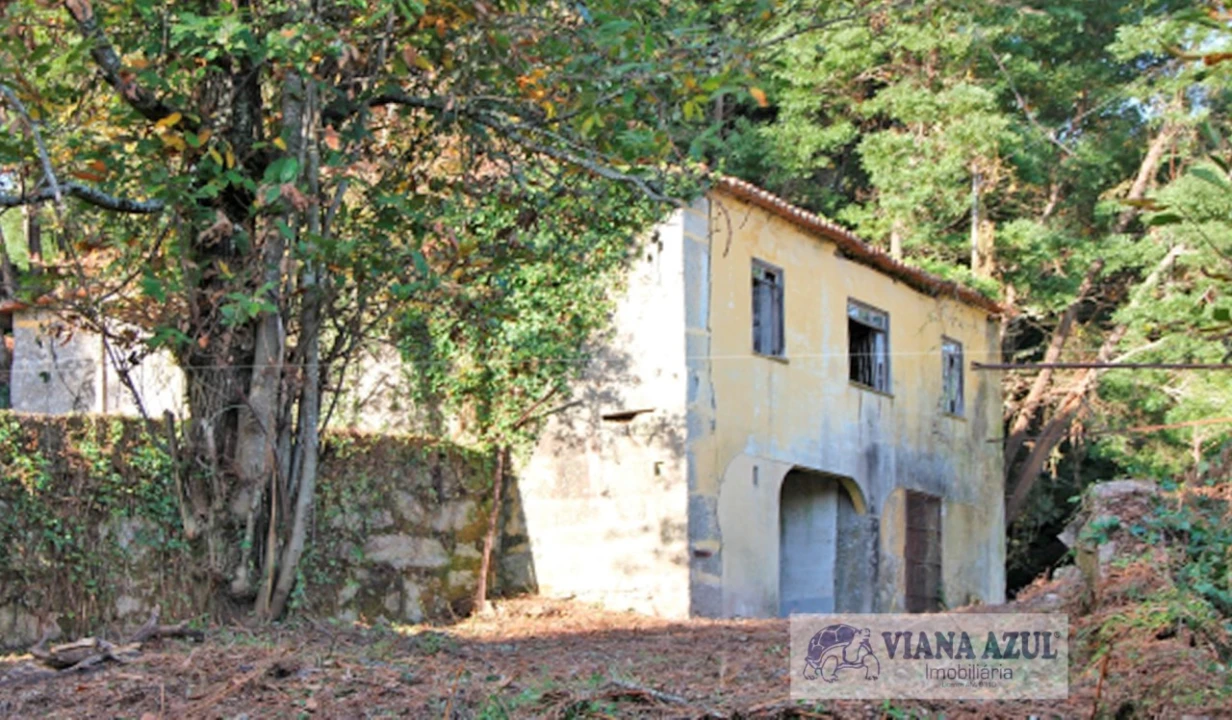 Quinta T13 para Venda em Távora (Santa Maria e São Vicente) Foto 5