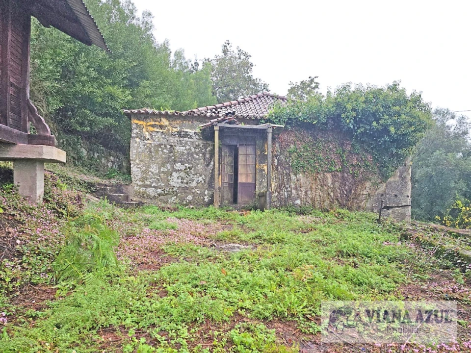 Quinta T13 para Venda em Távora (Santa Maria e São Vicente) Foto 9