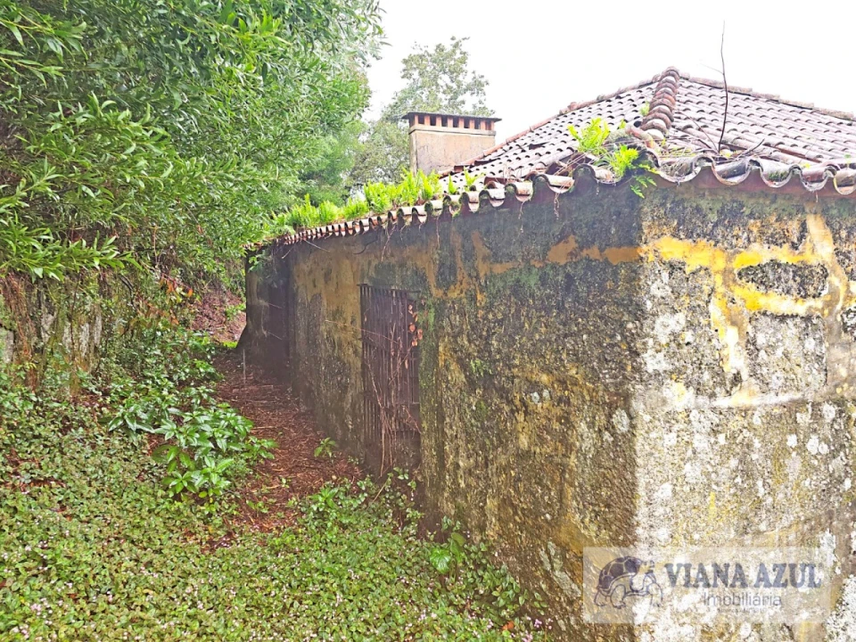Quinta T13 para Venda em Távora (Santa Maria e São Vicente) Foto 10