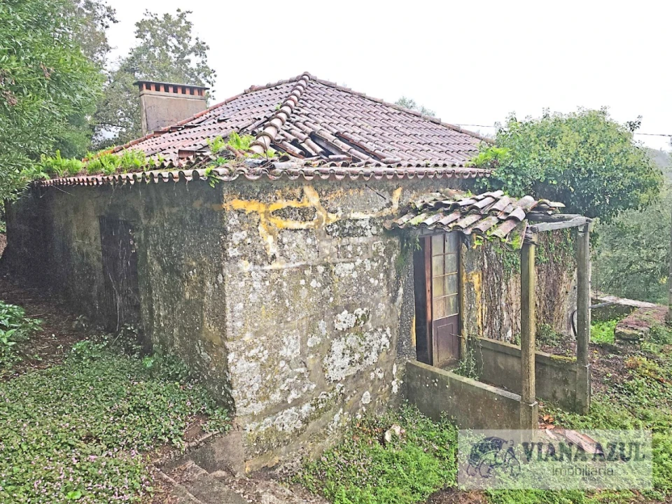 Quinta T13 para Venda em Távora (Santa Maria e São Vicente) Foto 4