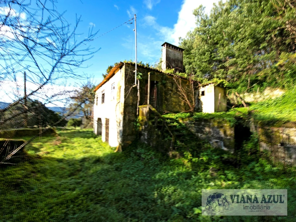 Quinta T13 para Venda em Távora (Santa Maria e São Vicente) Foto 2