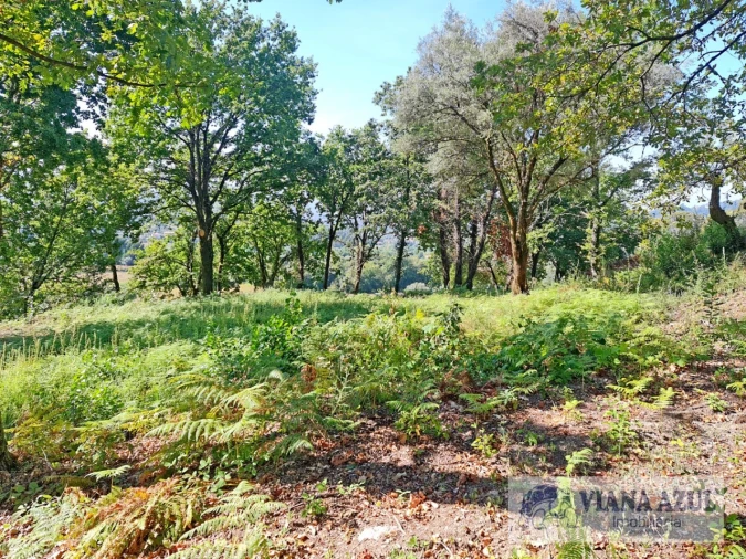 Quinta T13 para Venda em Távora (Santa Maria e São Vicente) Foto 12