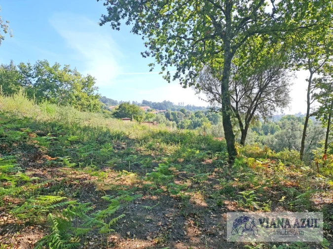 Quinta T13 para Venda em Távora (Santa Maria e São Vicente) Foto 14