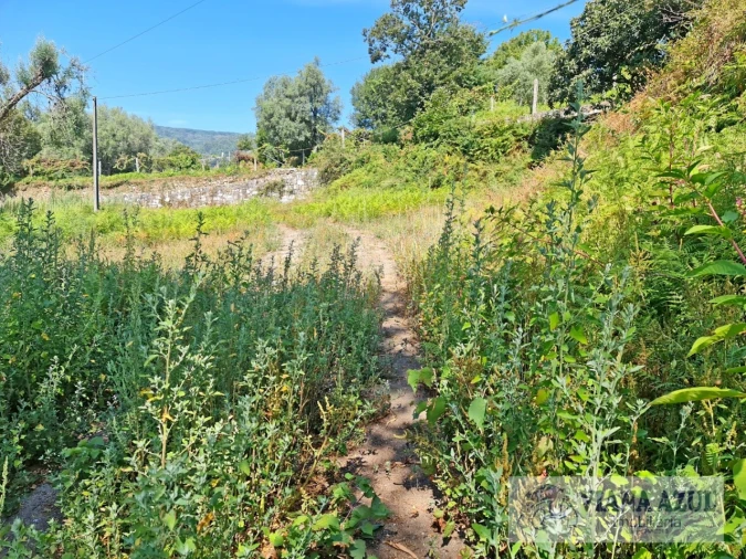 Quinta T13 para Venda em Távora (Santa Maria e São Vicente) Foto 18