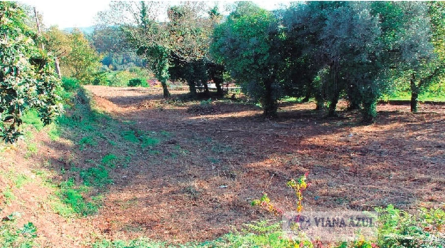 Quinta T13 para Venda em Távora (Santa Maria e São Vicente) Foto 19