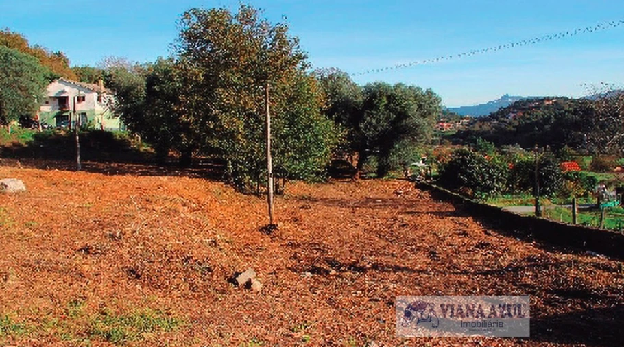 Quinta T13 para Venda em Távora (Santa Maria e São Vicente) Foto 20