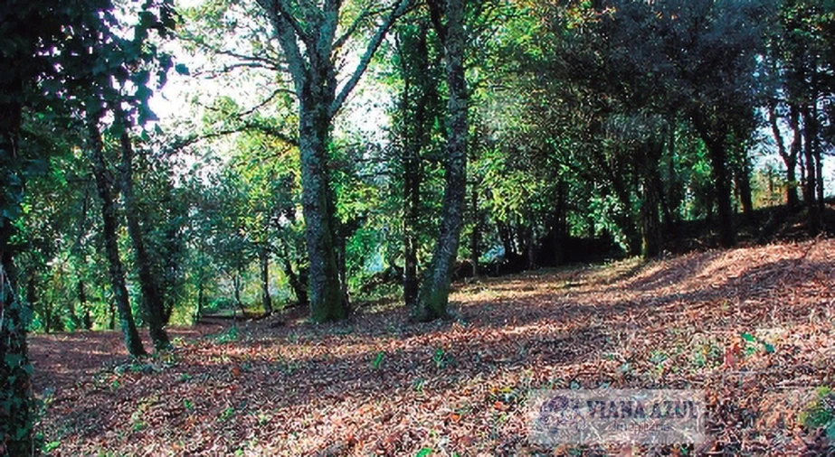 Quinta T13 para Venda em Távora (Santa Maria e São Vicente) Foto 22