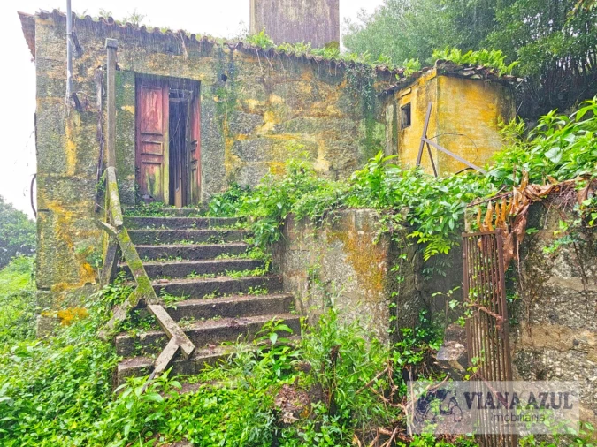 Quinta T13 para Venda em Távora (Santa Maria e São Vicente) Foto 6