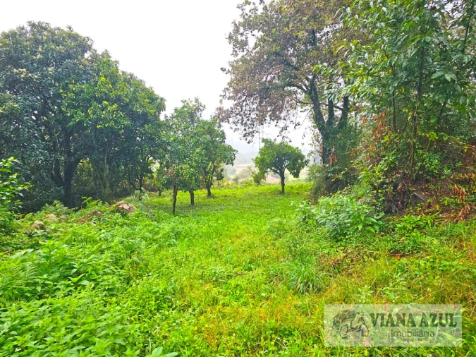 Quinta T13 para Venda em Távora (Santa Maria e São Vicente) Foto 23