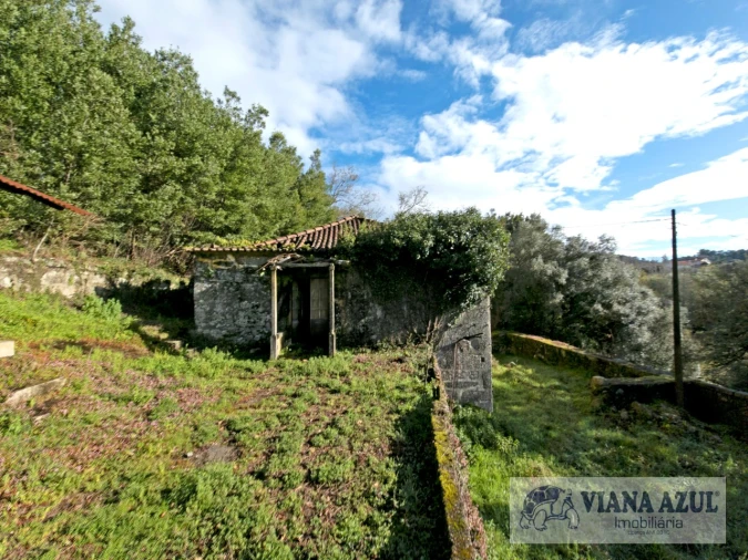 Quinta T13 para Venda em Távora (Santa Maria e São Vicente) Foto 5