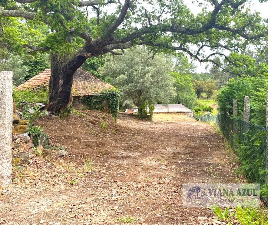 Quinta T3 para Venda em Reboreda e Nogueira Foto 4