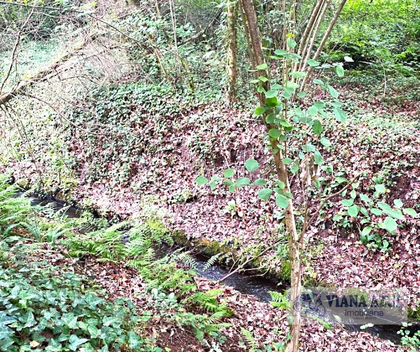 Quinta T3 para Venda em Reboreda e Nogueira Foto 6