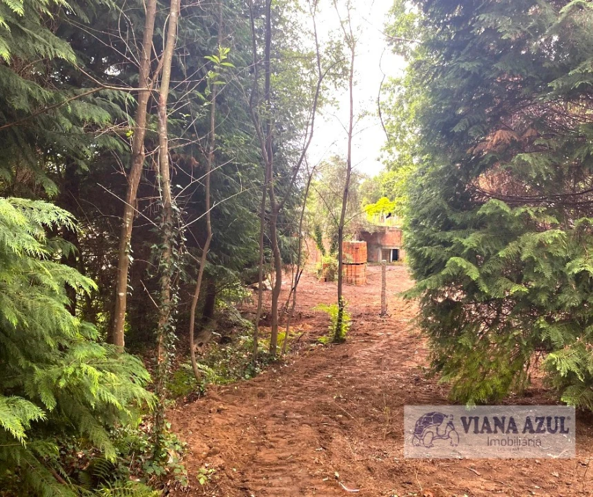 Quinta T3 para Venda em Reboreda e Nogueira Foto 7