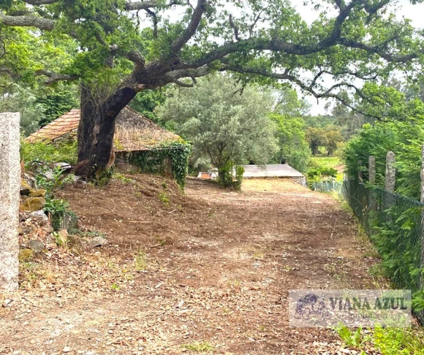 Quinta T3 para Venda em Reboreda e Nogueira Foto 4