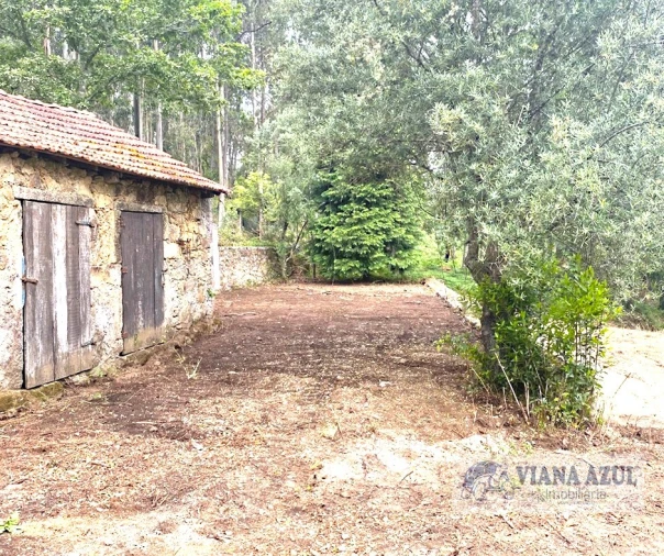 Quinta T3 para Venda em Reboreda e Nogueira Foto 5