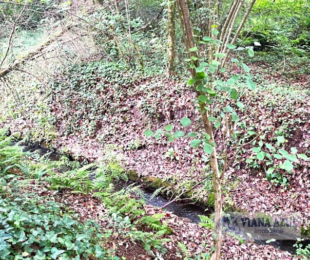 Quinta T3 para Venda em Reboreda e Nogueira Foto 6