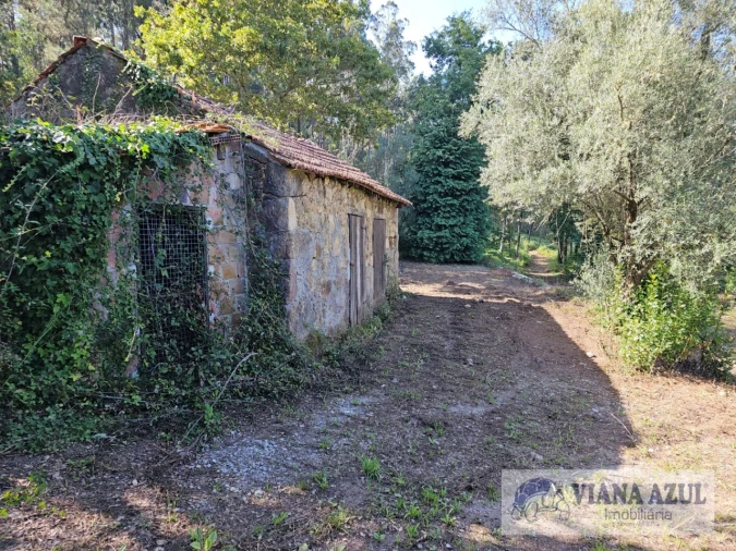 Quinta T3 para Venda em Reboreda e Nogueira Foto 9