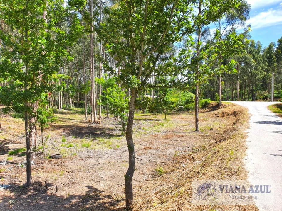 Terreno Comércio / Armazém para Venda em Cardielos e Serreleis Foto 3