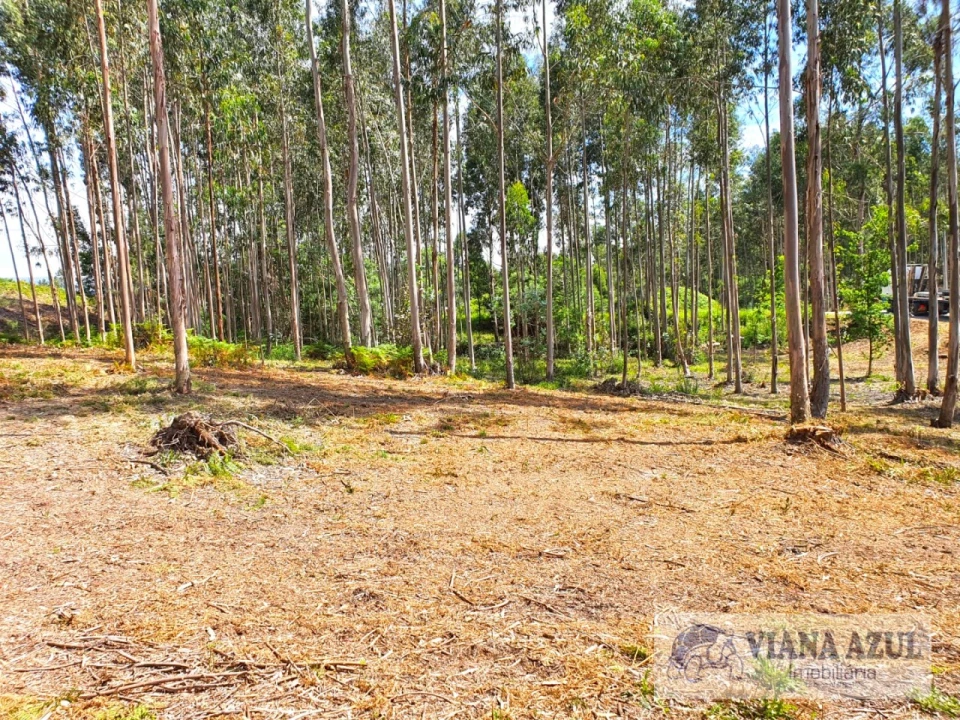 Terreno Comércio / Armazém para Venda em Cardielos e Serreleis Foto 6