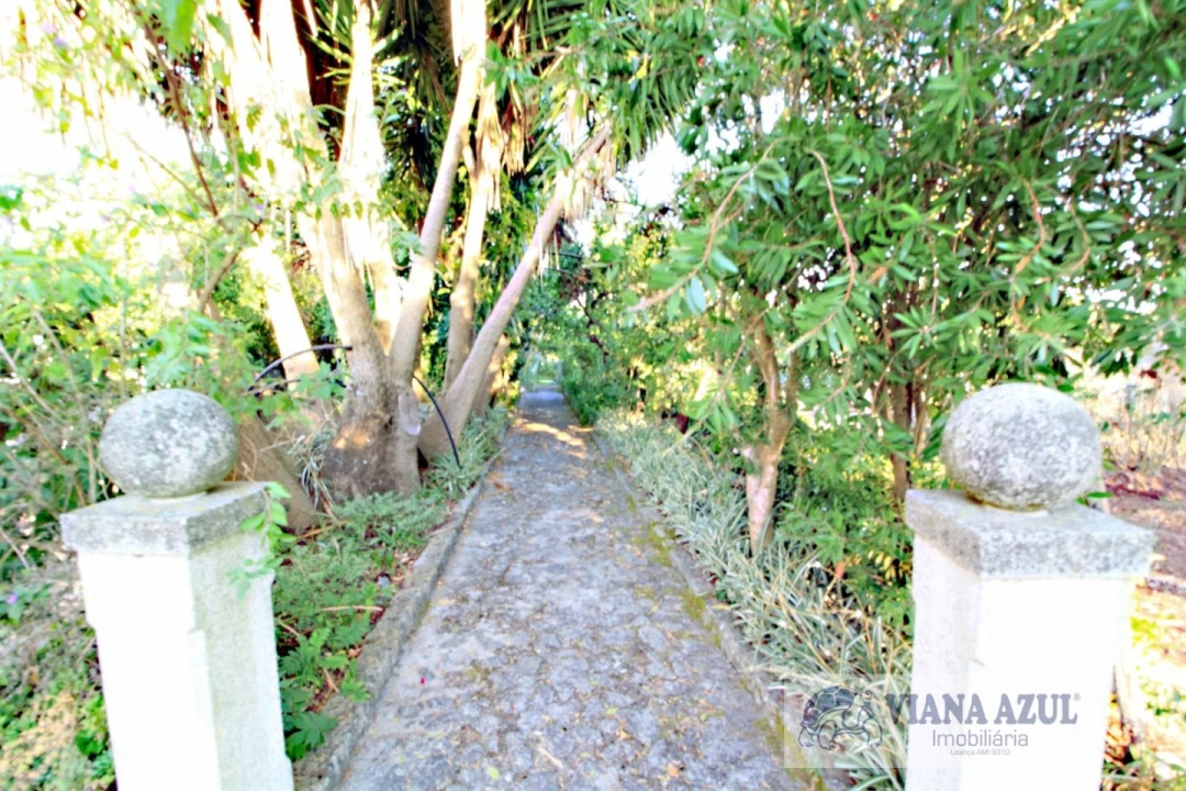 Quinta T8 para Venda em Cardielos e Serreleis Foto 11