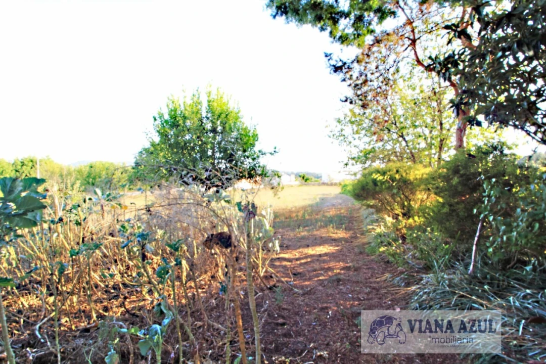 Quinta T8 para Venda em Cardielos e Serreleis Foto 12