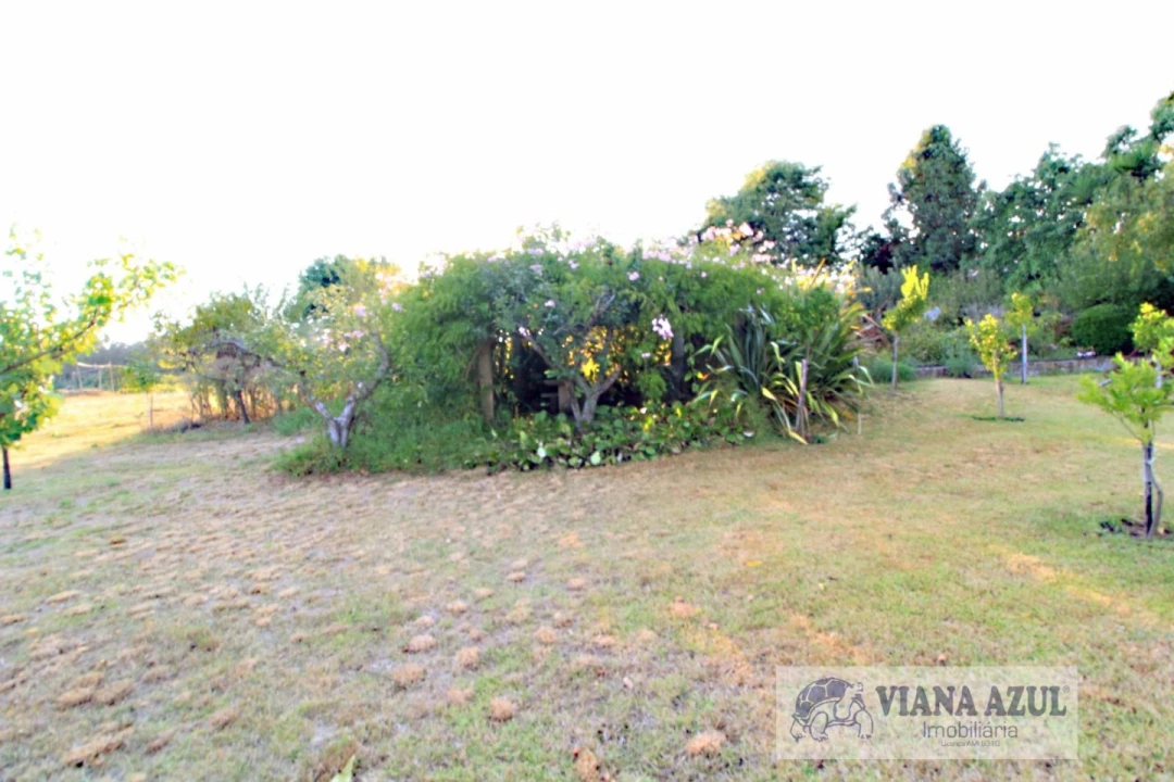Quinta T8 para Venda em Cardielos e Serreleis Foto 30