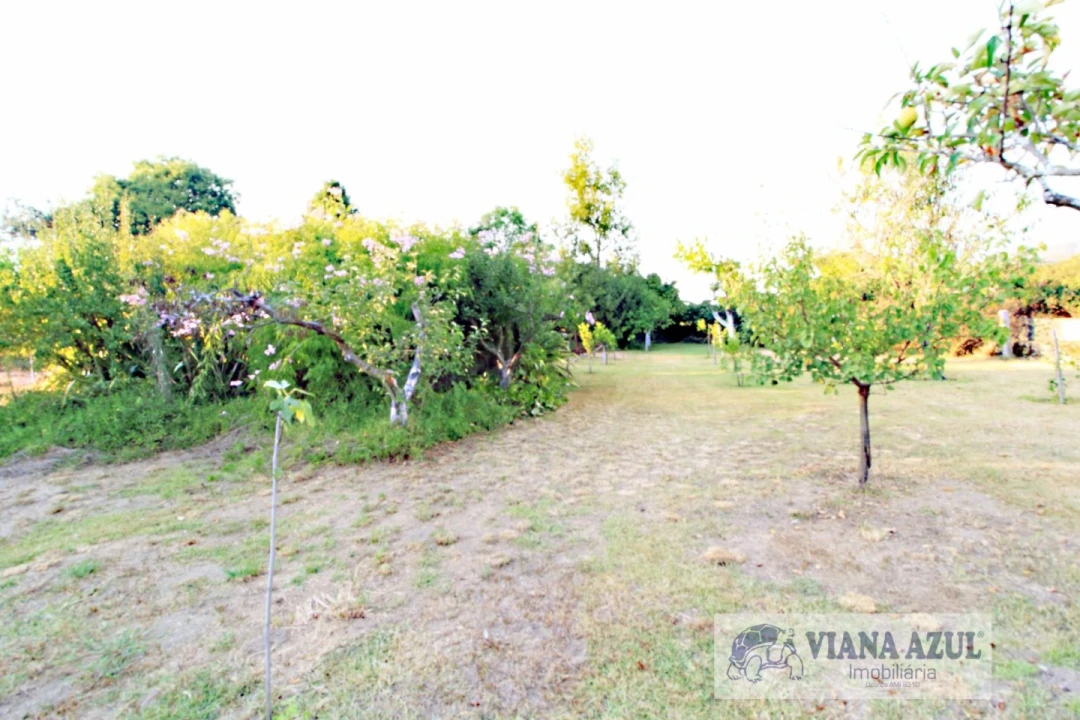 Quinta T8 para Venda em Cardielos e Serreleis Foto 32