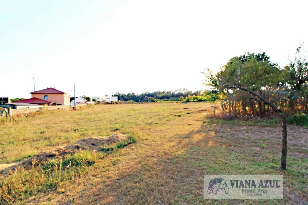 Quinta T8 para Venda em Cardielos e Serreleis Foto 37