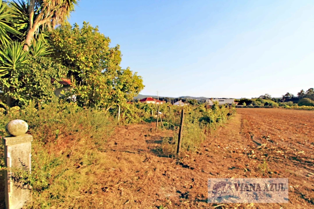 Quinta T8 para Venda em Cardielos e Serreleis Foto 38