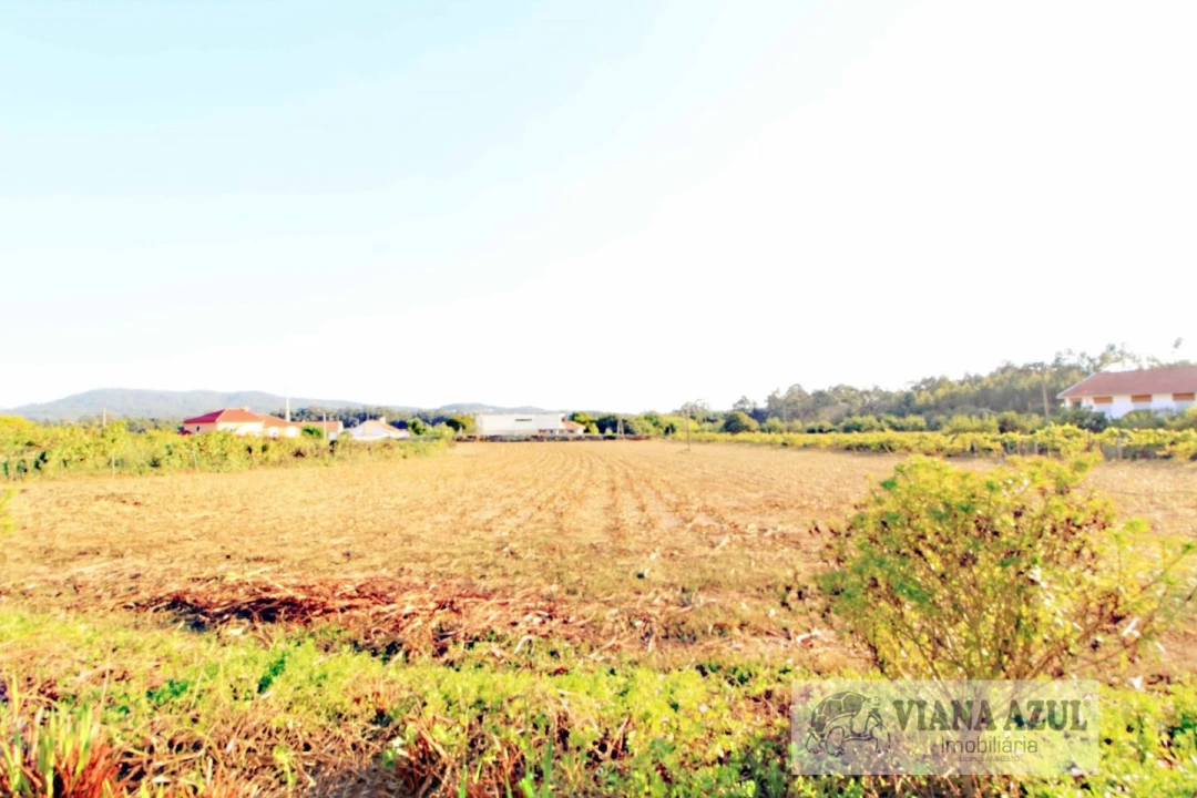 Quinta T8 para Venda em Cardielos e Serreleis Foto 39