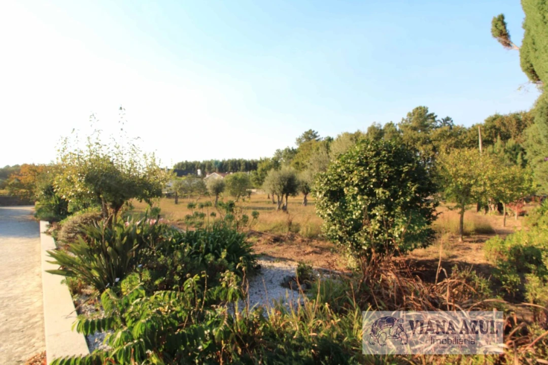 Quinta T8 para Venda em Cardielos e Serreleis Foto 42