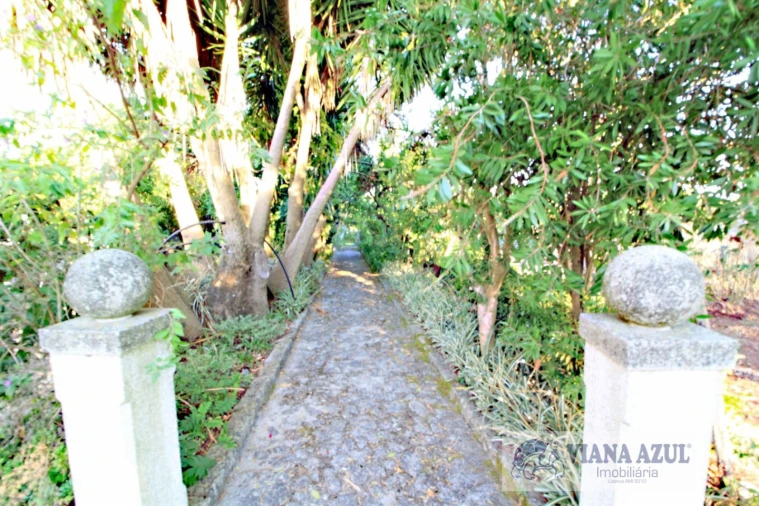 Quinta T8 para Venda em Cardielos e Serreleis Foto 11