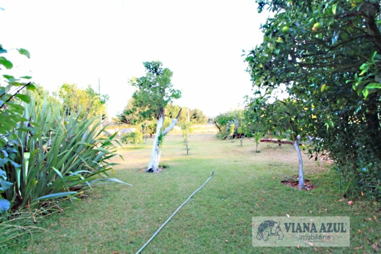 Quinta T8 para Venda em Cardielos e Serreleis Foto 31