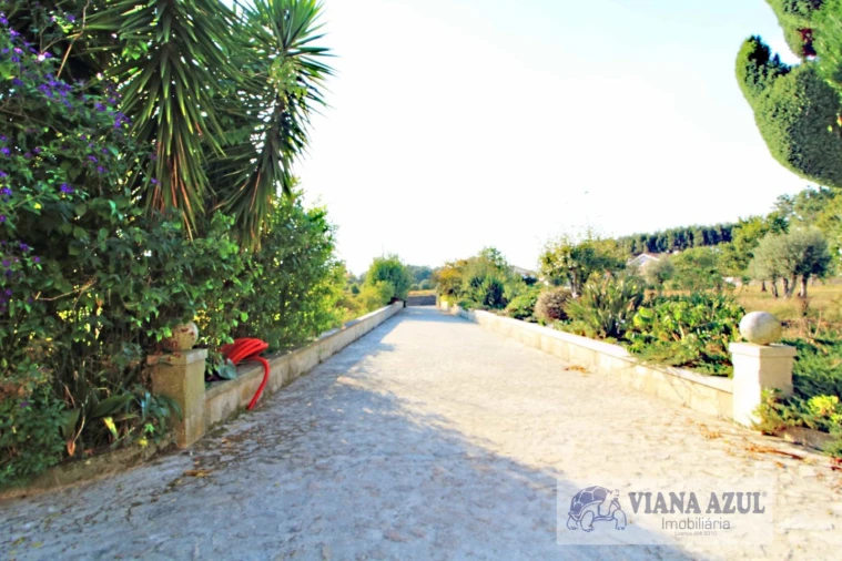 Quinta T8 para Venda em Cardielos e Serreleis Foto 33