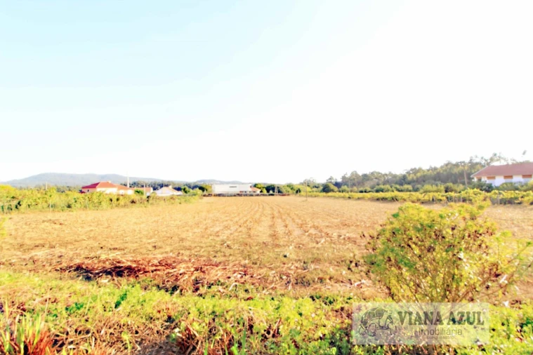 Quinta T8 para Venda em Cardielos e Serreleis Foto 39