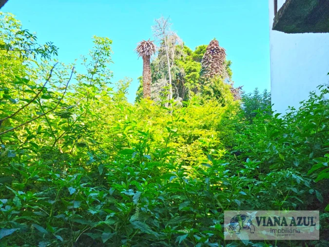 Prédio para Venda em Santa Maria Maior e Monserrate e Meadela Foto 15