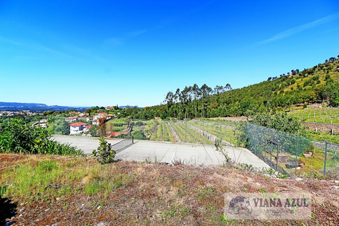 Quinta T7 para Venda em Santa Maria Maior e Monserrate e Meadela Foto 15