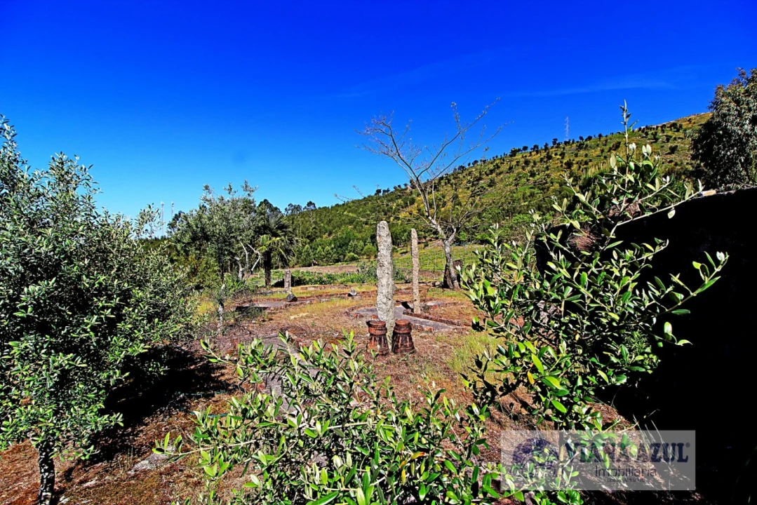 Quinta T7 para Venda em Santa Maria Maior e Monserrate e Meadela Foto 18