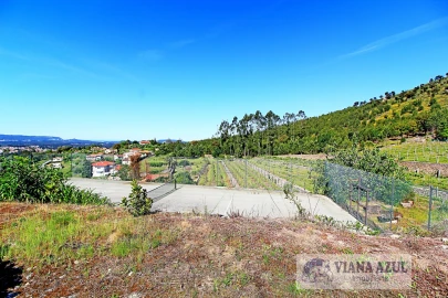 Quinta T7 para Venda em Santa Maria Maior e Monserrate e Meadela