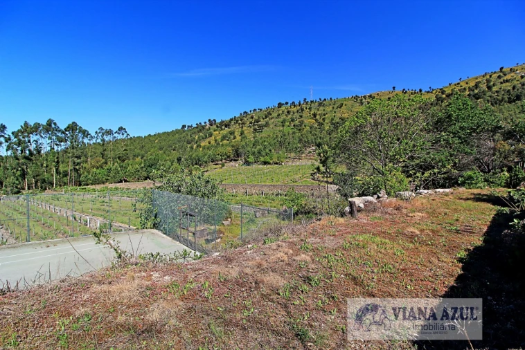 Quinta T7 para Venda em Santa Maria Maior e Monserrate e Meadela Foto 16