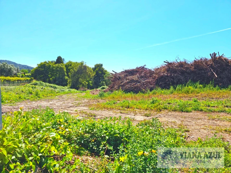 Terreno Comércio / Armazém para Venda em Geraz do Lima (Santa Maria, Santa Leocádia, Moreira), Deão Foto 4