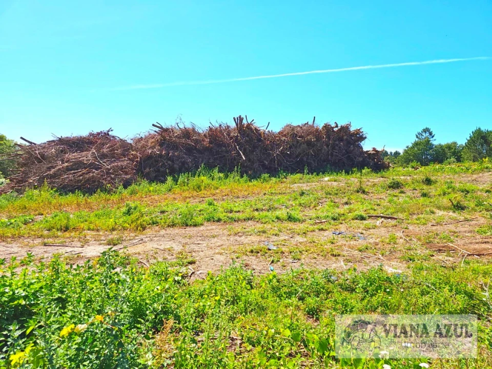 Terreno Comércio / Armazém para Venda em Geraz do Lima (Santa Maria, Santa Leocádia, Moreira), Deão Foto 5